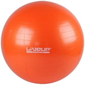 Fitness/Fitball LiveUp LS3221-55