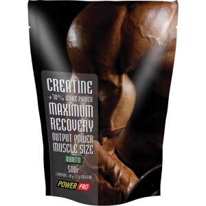 Creatina Power Pro Creatine 500 g