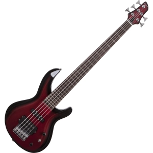 Guitarra ARIA IGB-STD/5