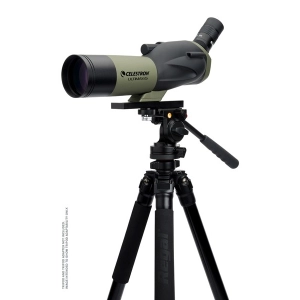 Celestron