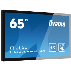 Iiyama