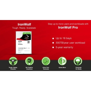 Seagate IronWolf Pro